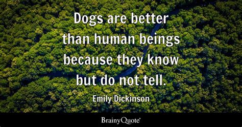 dogs are better than humans quotes
